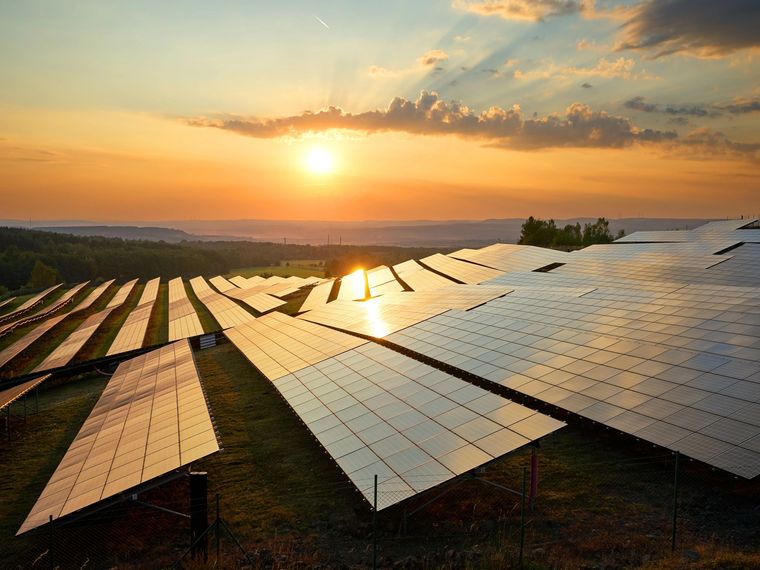 Solar farm at sunset
